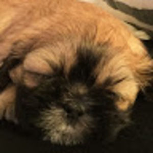 Meet your Posher, Marco